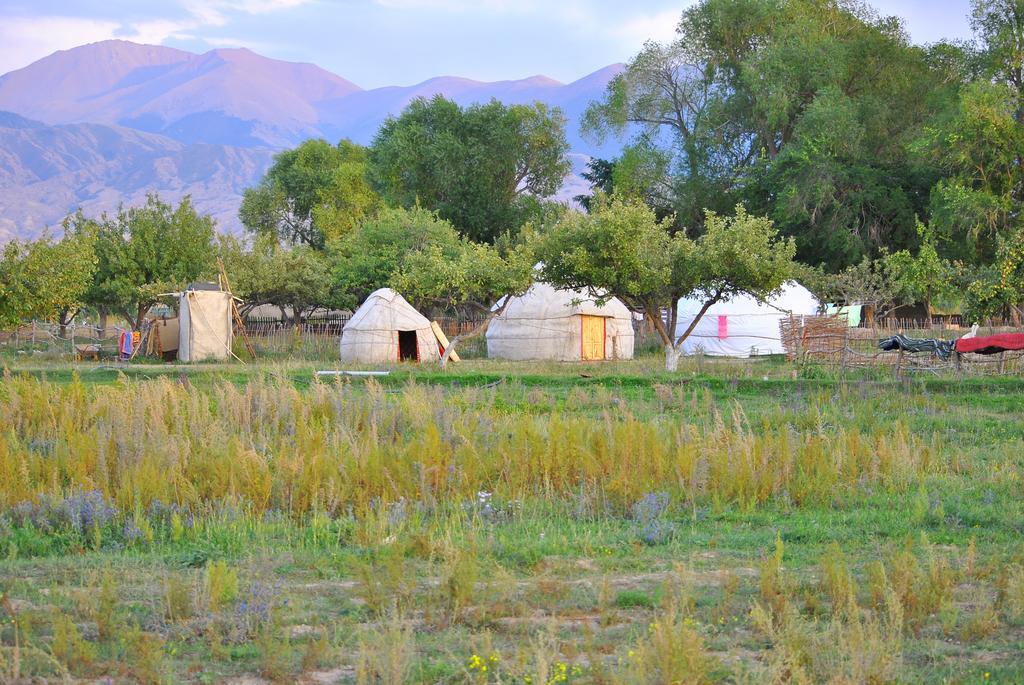 Jurten Camp Almaluu Tong Exteriér fotografie