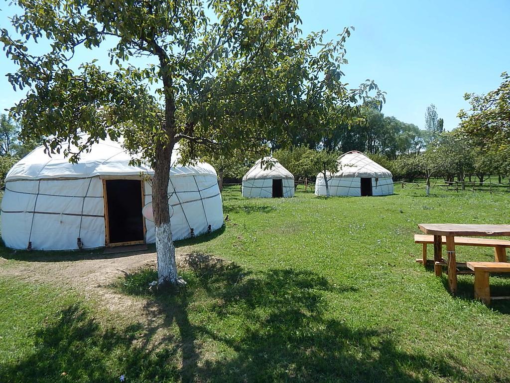 Jurten Camp Almaluu Tong Exteriér fotografie